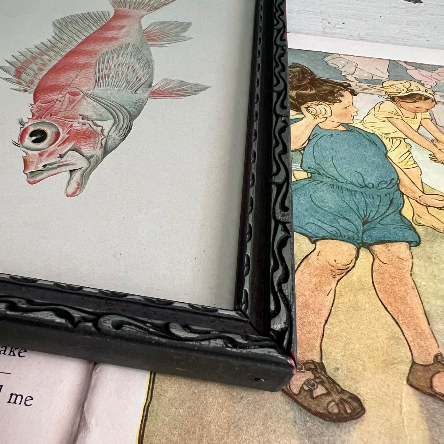 Framed Antique Fish Lithograph c.1899