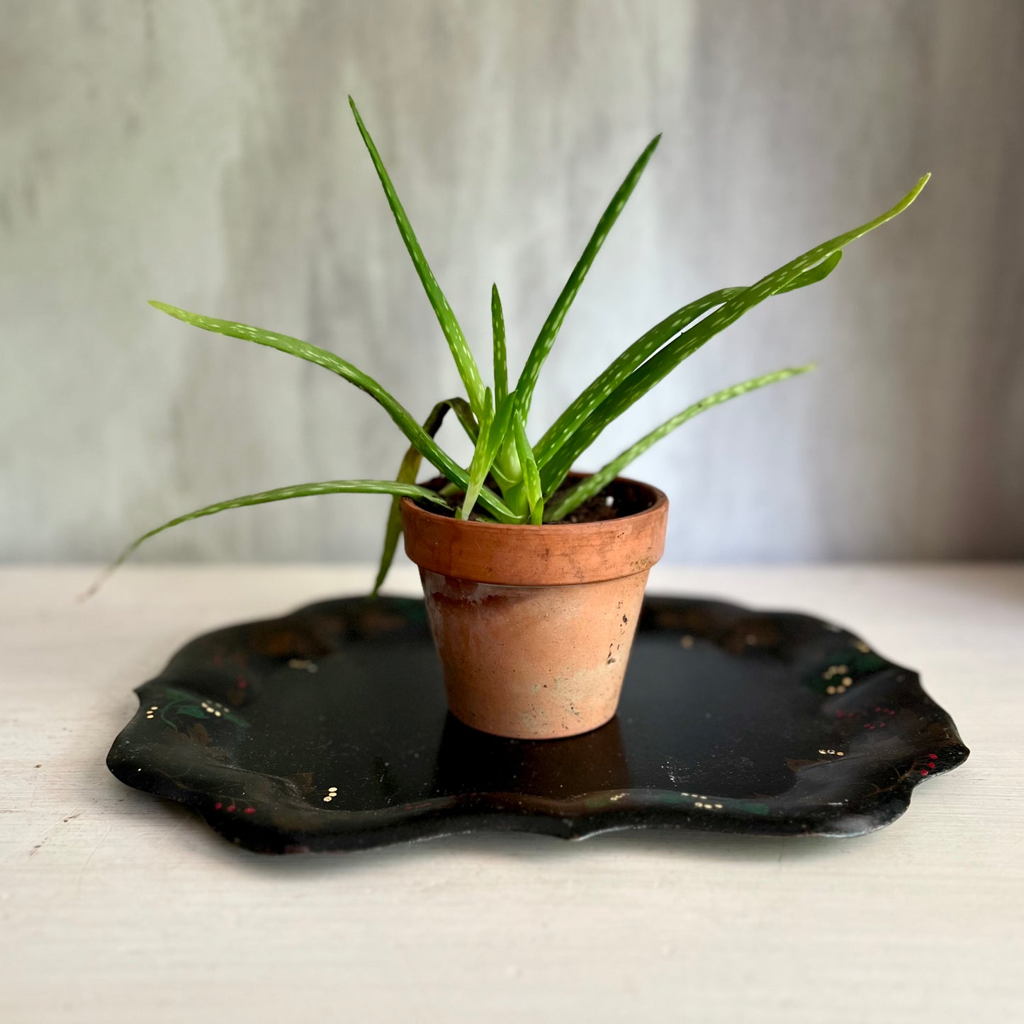 Early Tole Painted Metal Tray
