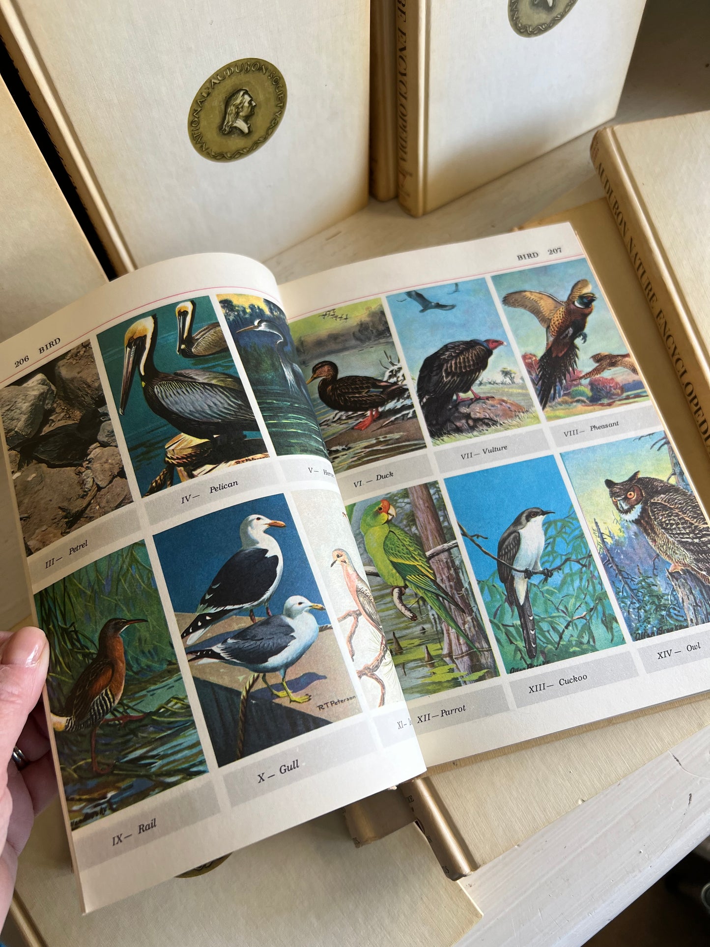 Audubon Nature Encyclopedia Set, First Printing 1965