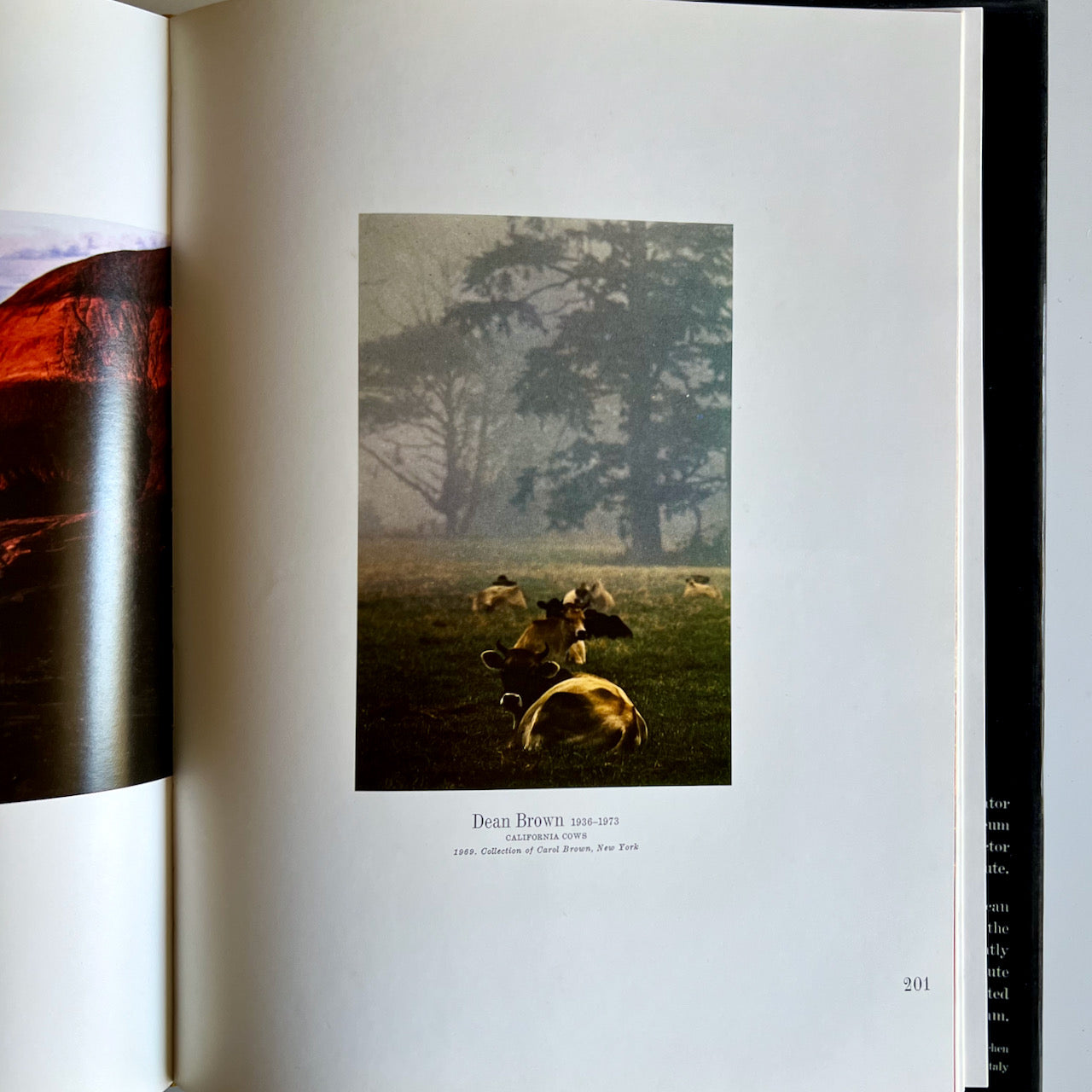 Vintage Book: Photography in America, 1974