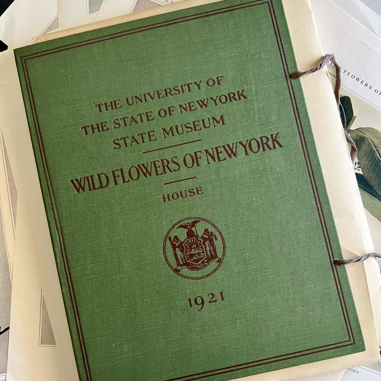 Wildflowers of New York Antique Color Botanical Prints