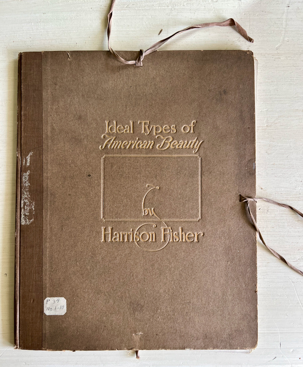 Harrison Fisher's Ideal Types of American Beauty Portfolio (c.1913)