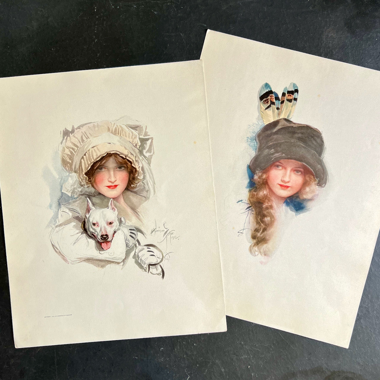 Harrison Fisher's Ideal Types of American Beauty Portfolio (c.1913)