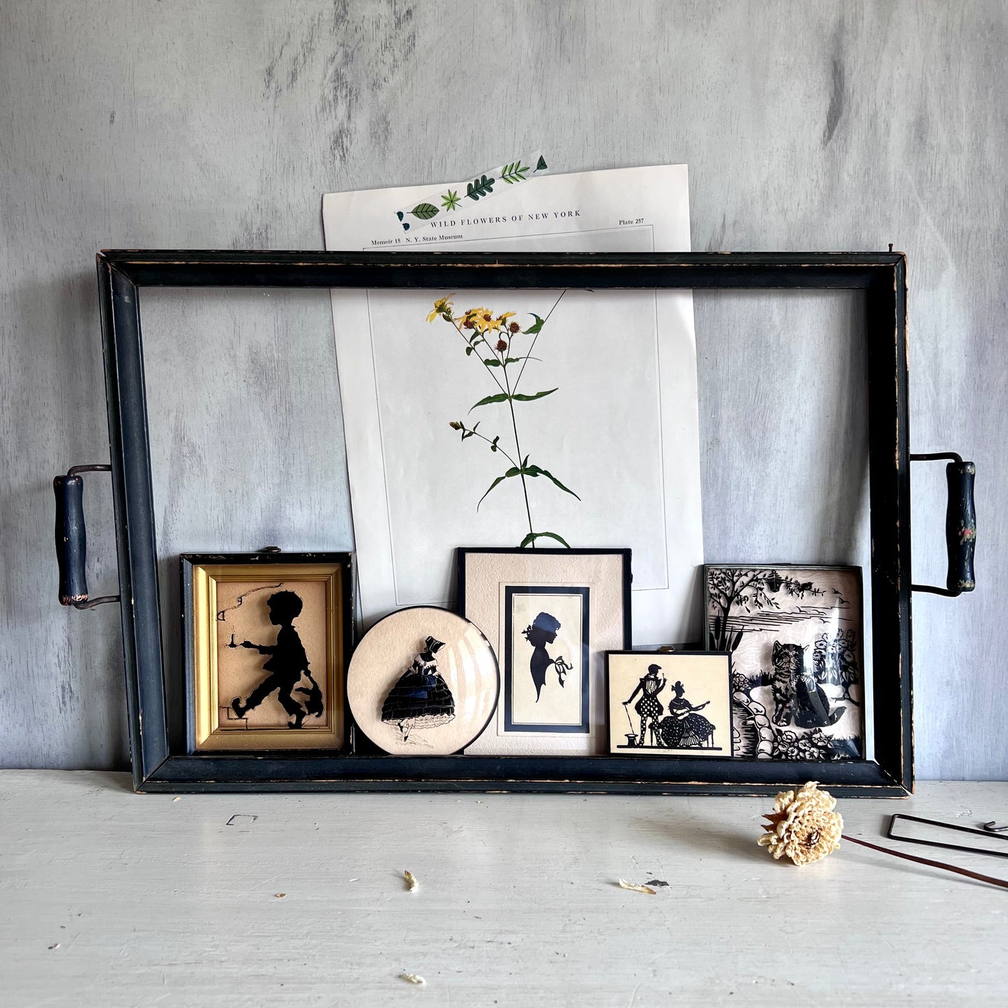 Set of Five Early Framed Silhouettes