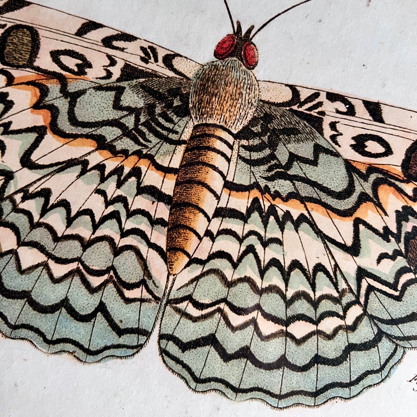 Vintage Pastel Framed Butterfly Print