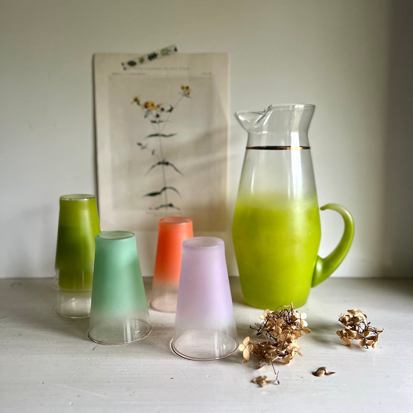 1960s Mid Century Blendo Frosted Pitcher and Glasses Set