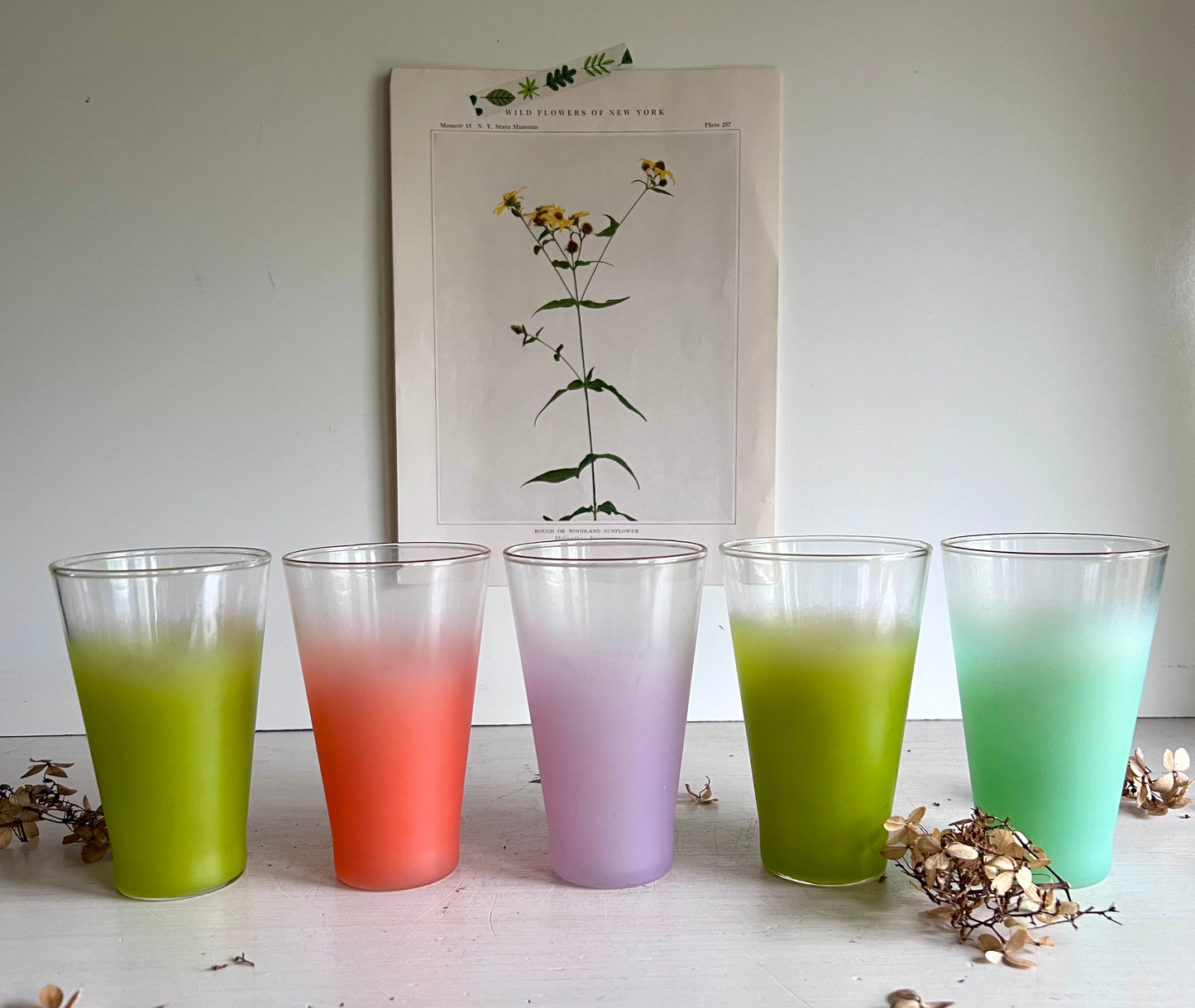 1960s Mid Century Blendo Frosted Pitcher and Glasses Set