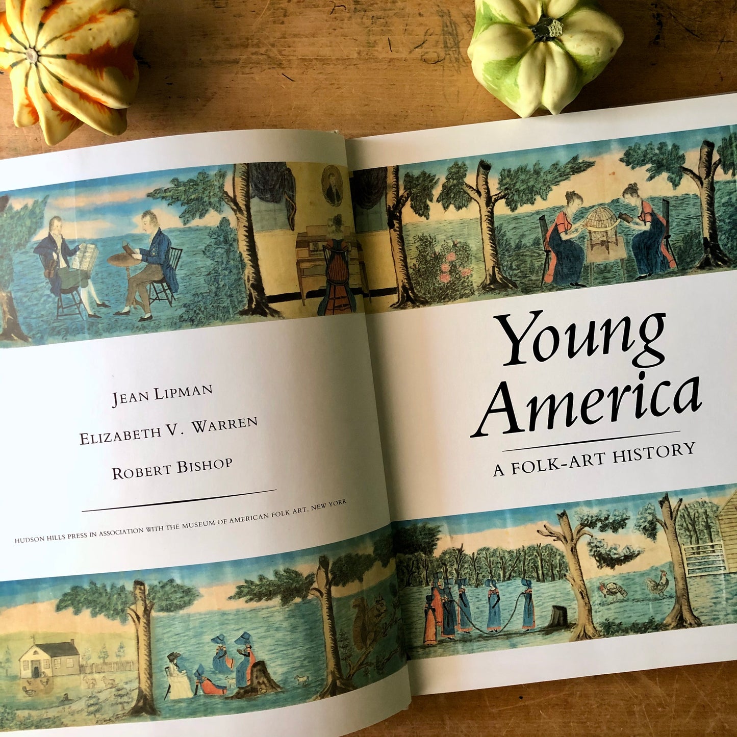 Young America - a Folk Art History Book (1986)