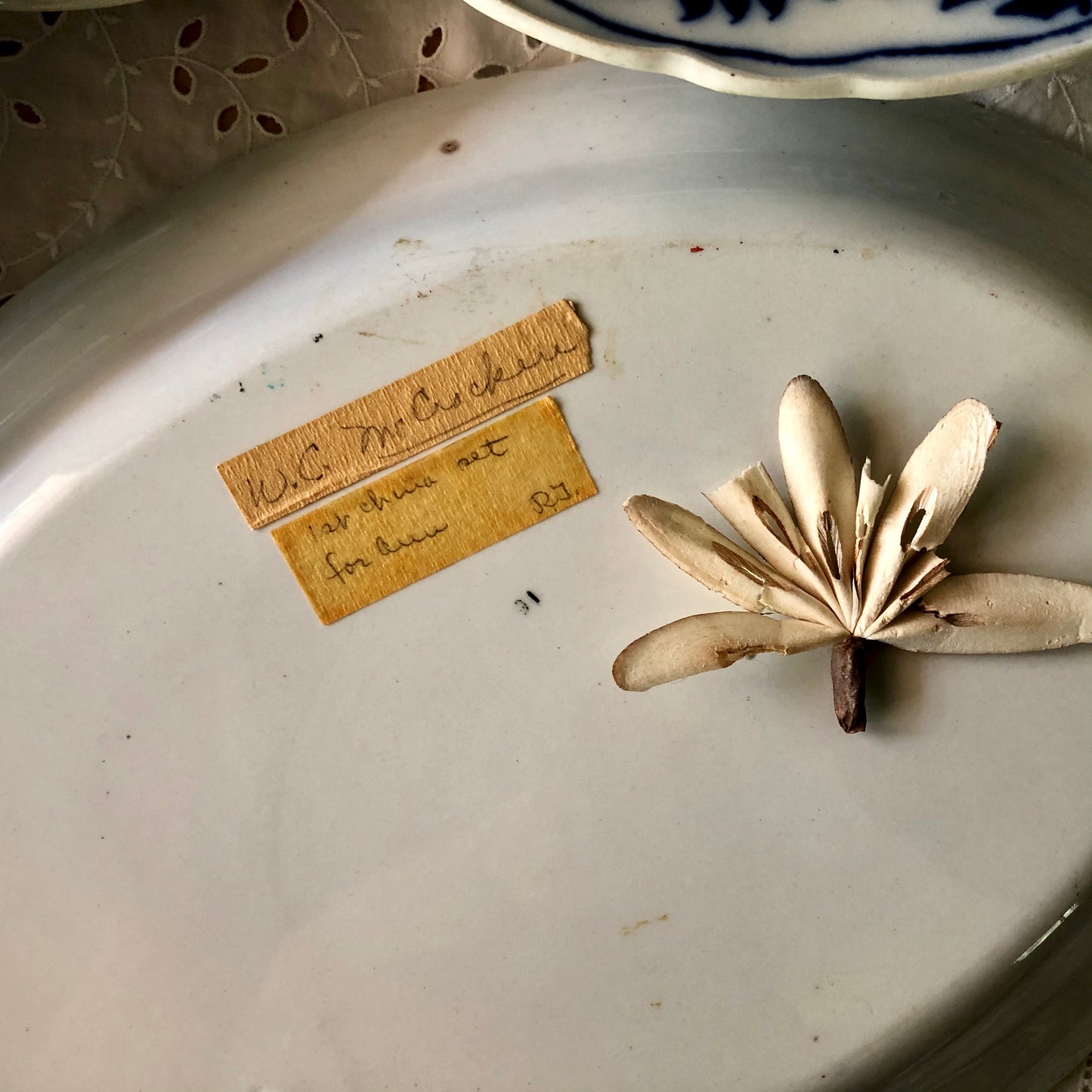 English Meissen Blue Onion China (1900s)