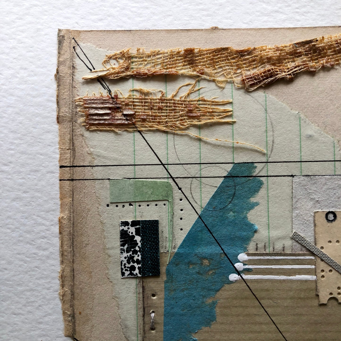 Vintage Book Collage Art, 'Economic Biology'