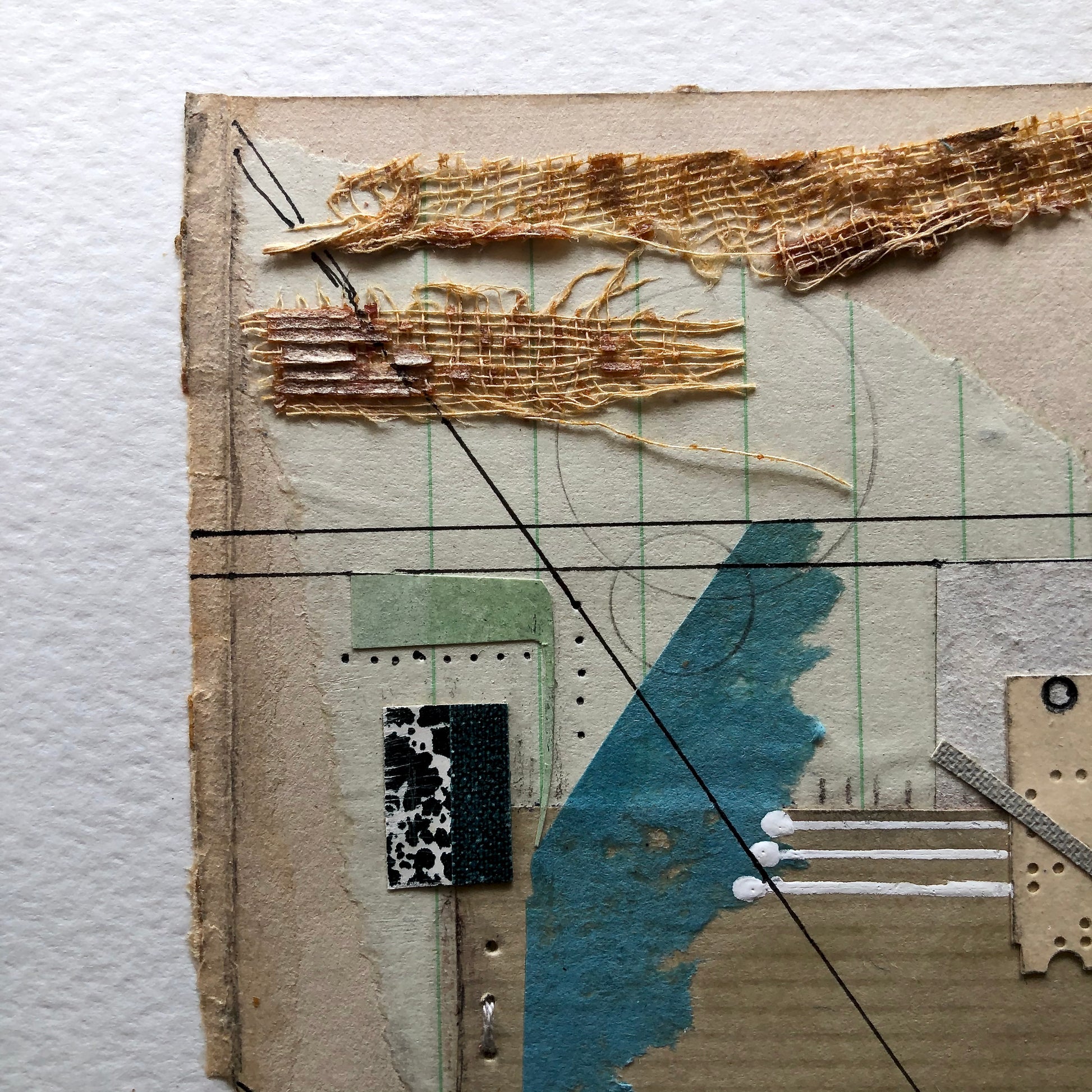 Vintage Book Collage Art, 'Economic Biology'