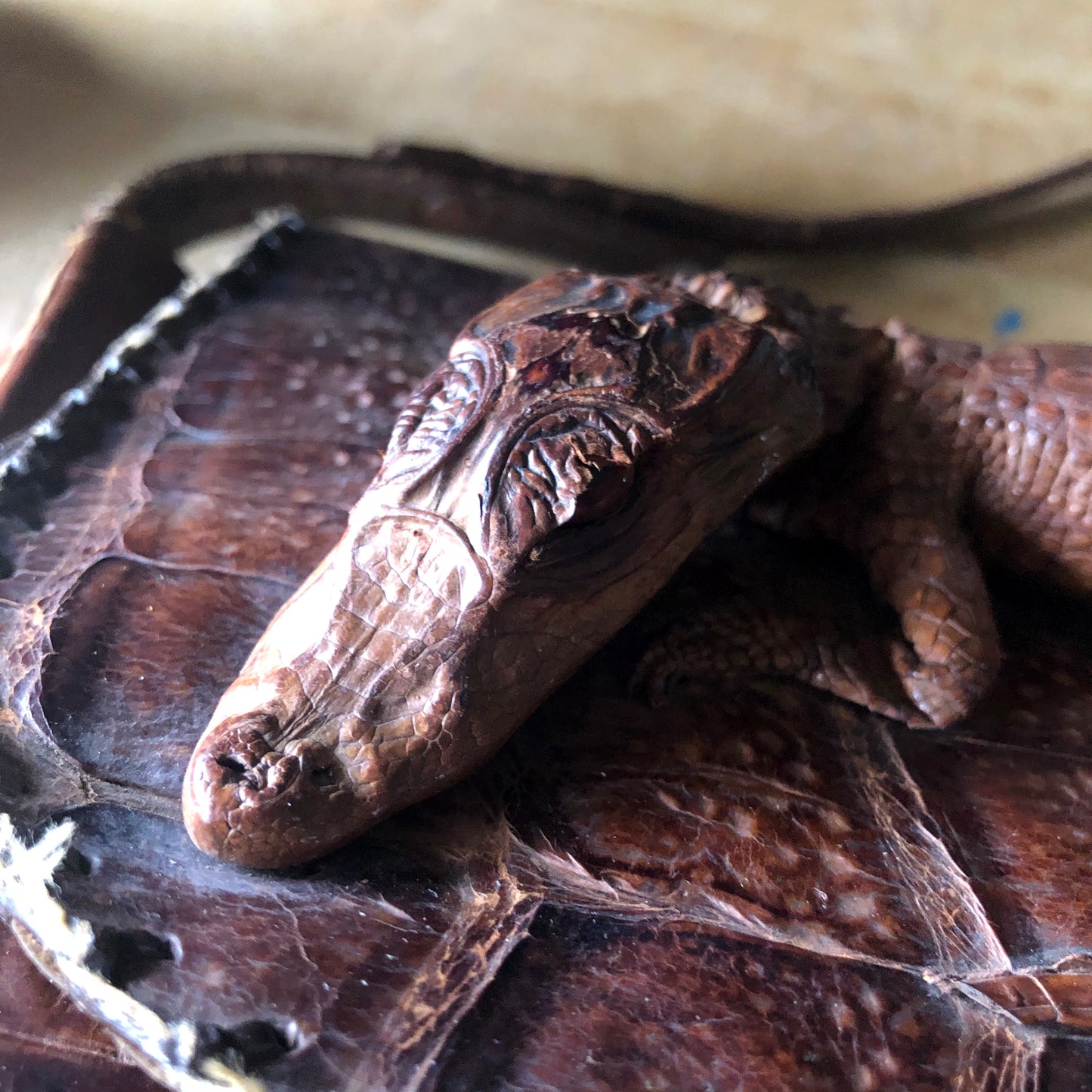 Vintage Baby Alligator Leather Bag (c.1940s)