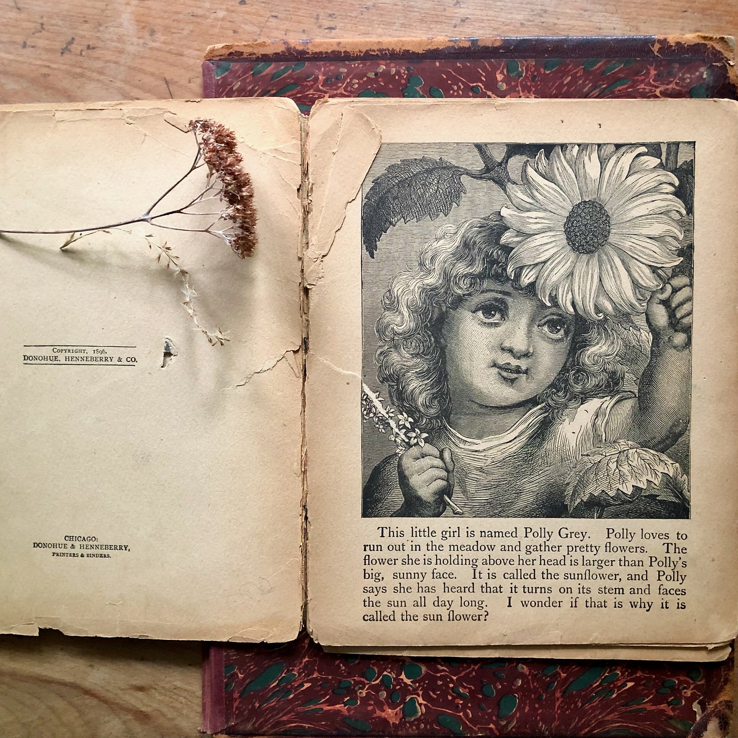 Illustrated Victorian Nursery Book, Sparkles of Joy (1896)