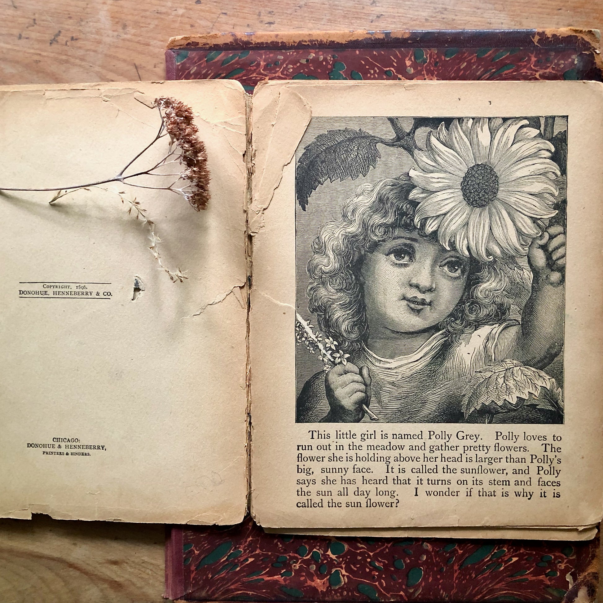 Illustrated Victorian Nursery Book, Sparkles of Joy (1896)