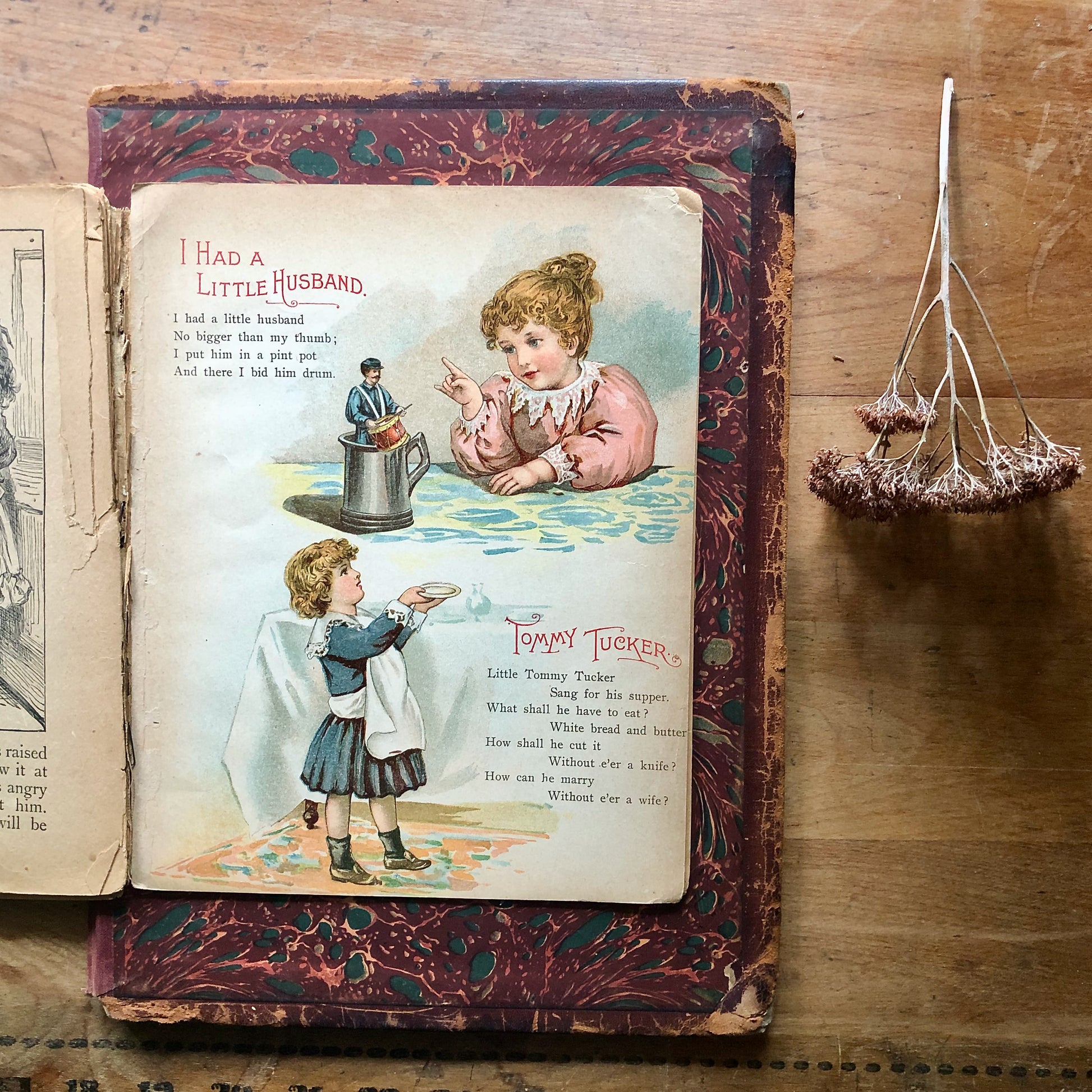 Illustrated Victorian Nursery Book, Sparkles of Joy (1896)