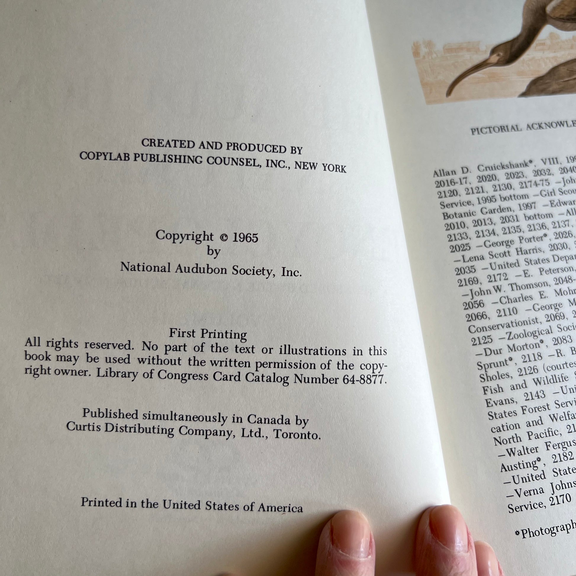 Audubon Nature Encyclopedia Set, First Printing 1965