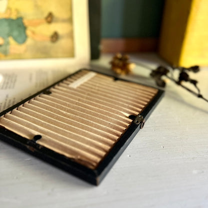 Framed Porto Rican Fish Lithograph c.1899