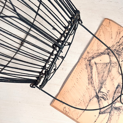 Early Wire Fish Trap or Bait Carrier