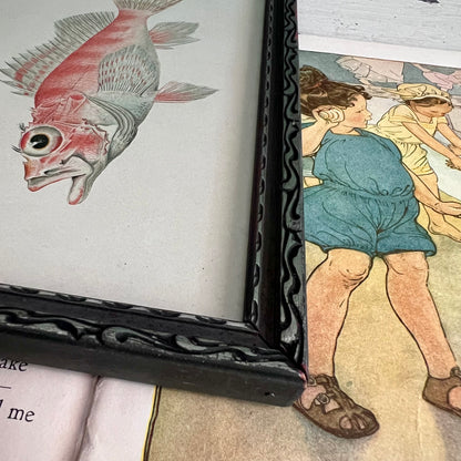 Framed Antique Fish Lithograph c.1899