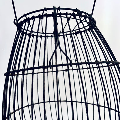 Early Wire Fish Trap or Bait Carrier