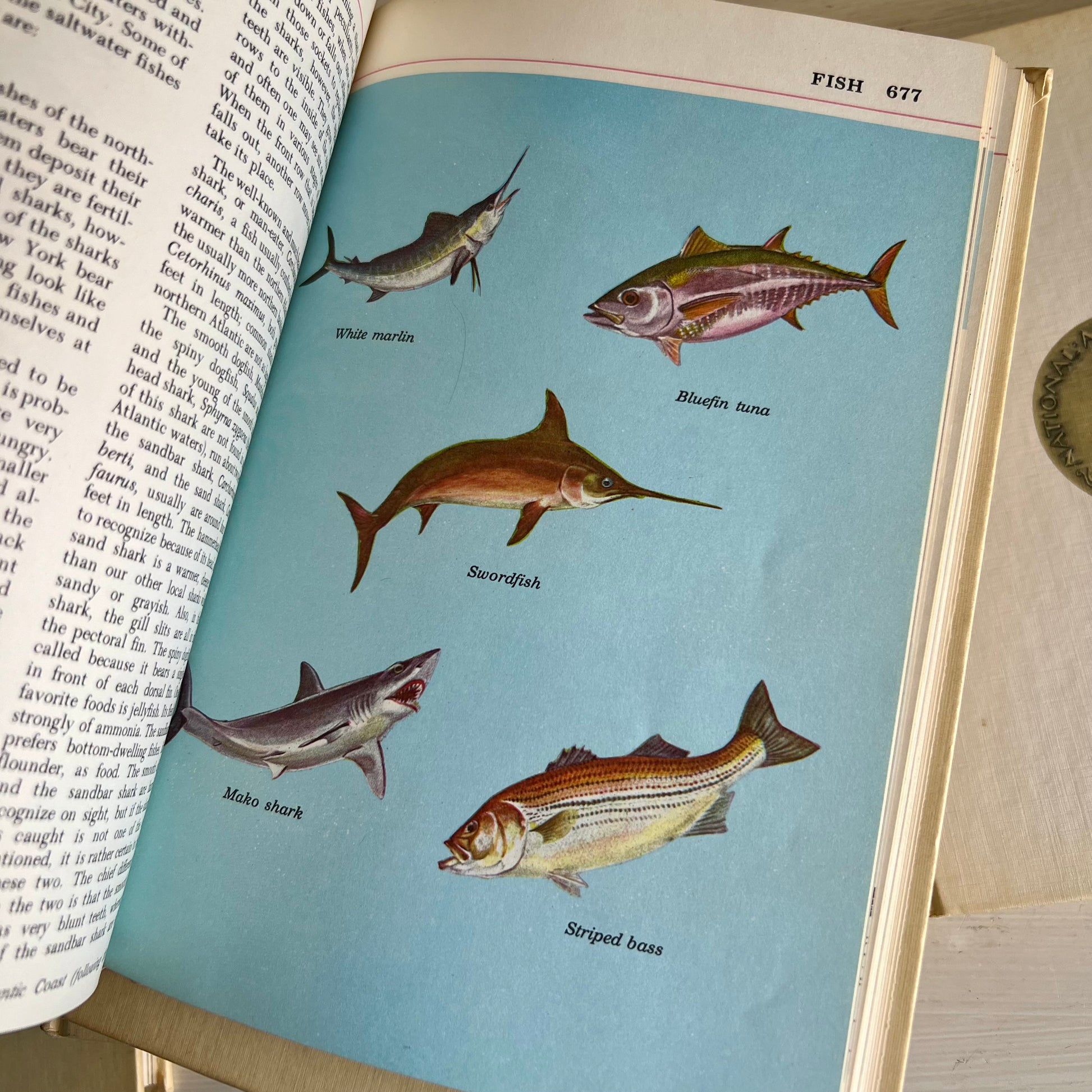 Audubon Nature Encyclopedia Set, First Printing 1965