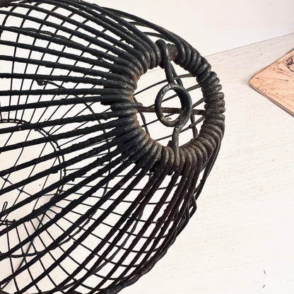 Early Wire Fish Trap or Bait Carrier