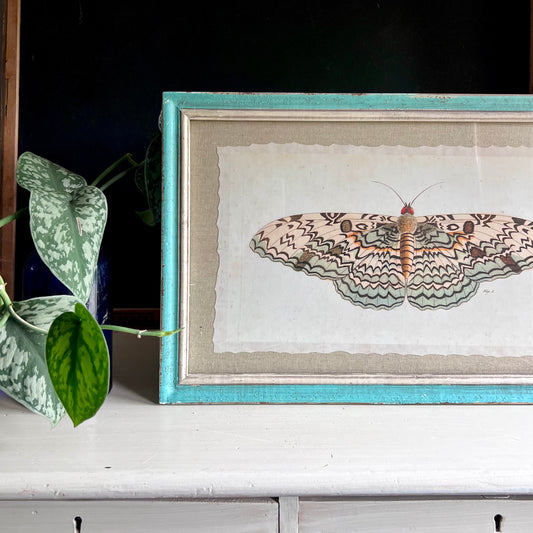 Vintage Pastel Framed Butterfly Print