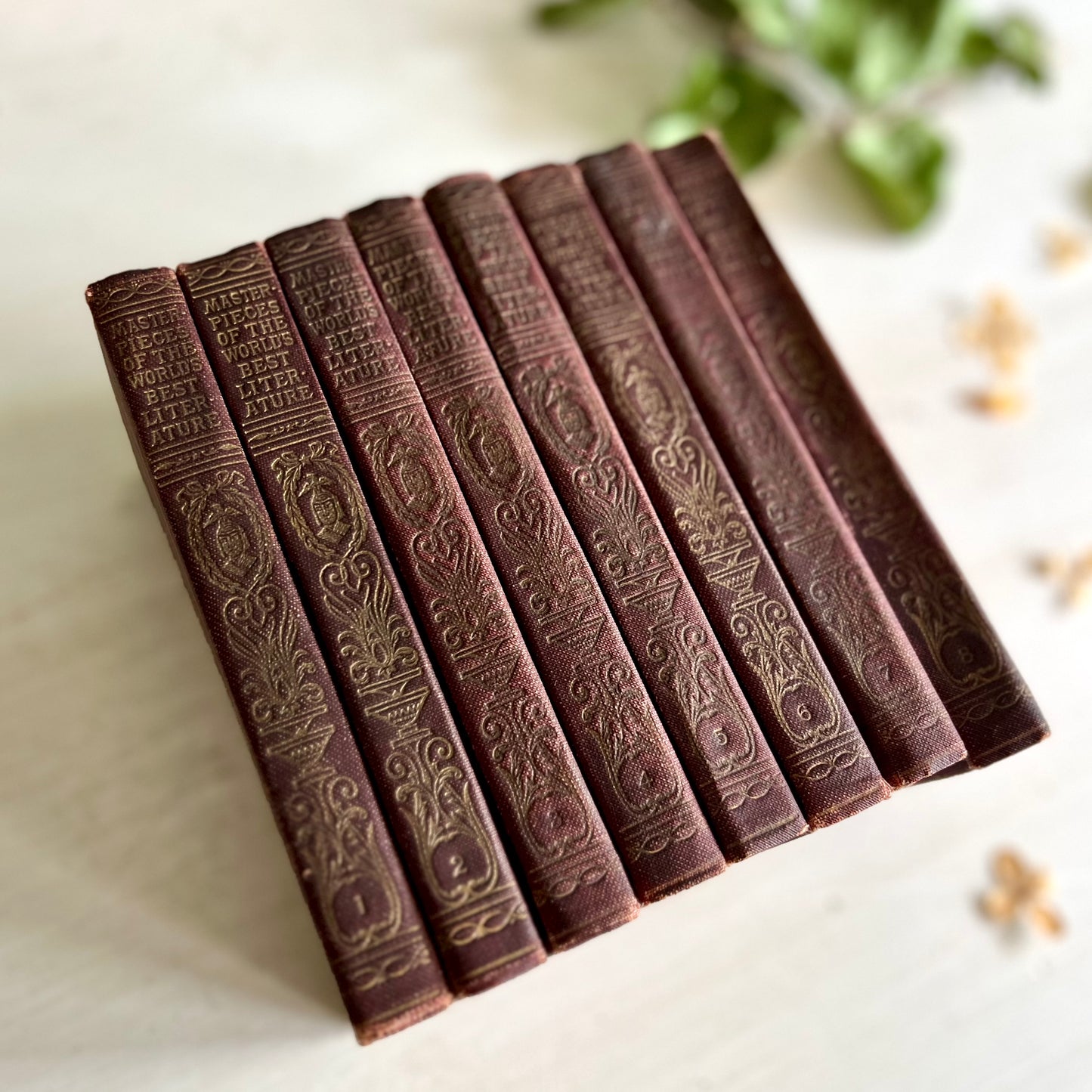 Eight Volume Collection of 'Masterpieces of the World's Best Literature', c.1910