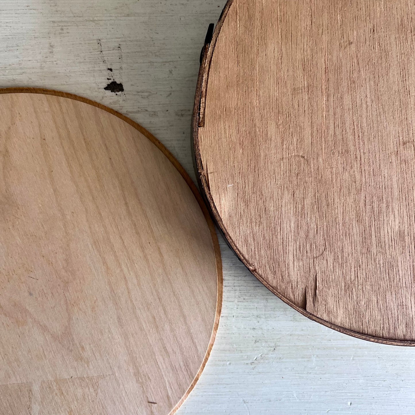 Clarence Wells Eagle and Salmon Aboriginal Drum Box