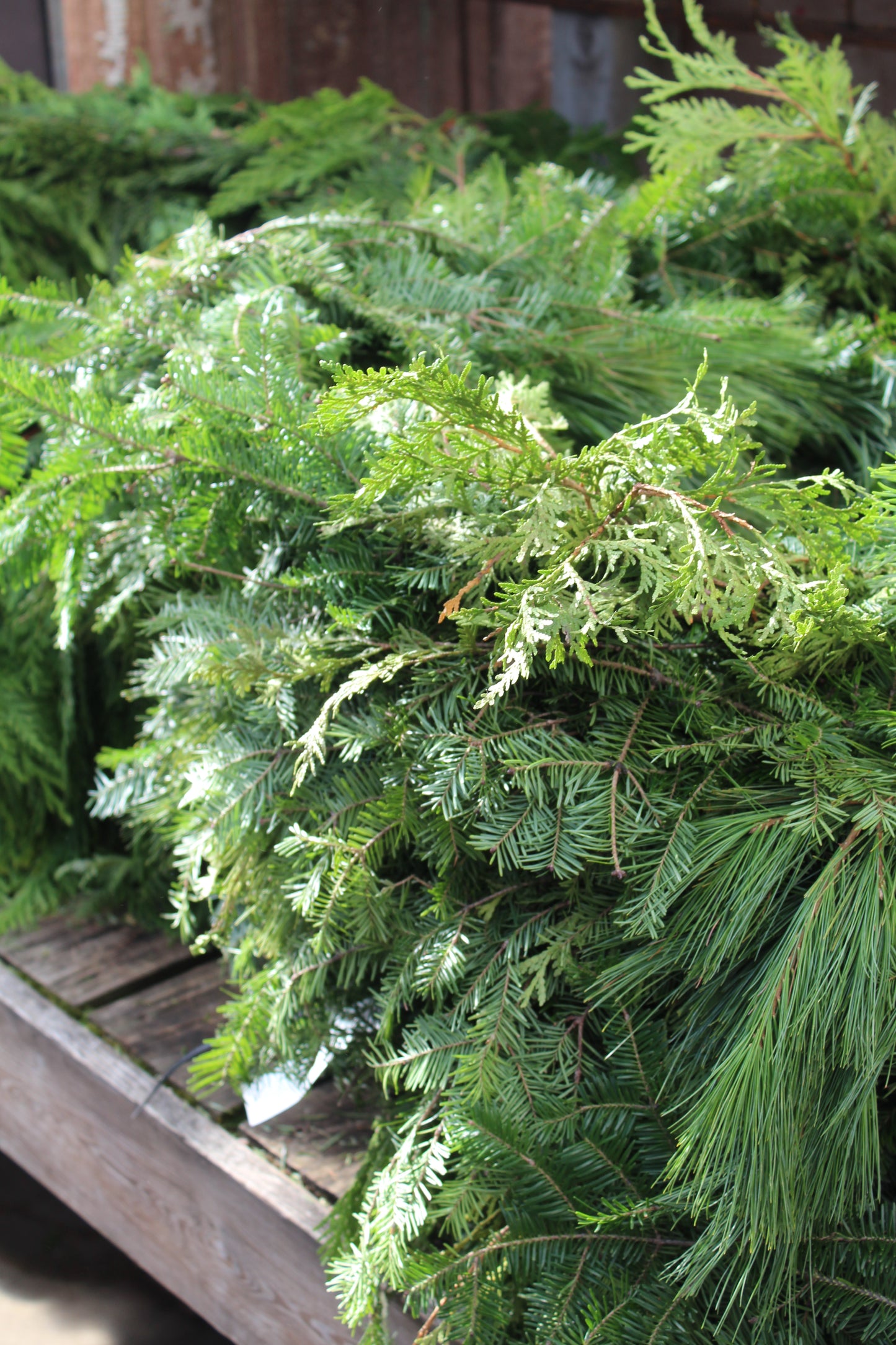 Vintage Hot Pink and Gold Shiny Brite Ornaments, Set of 5