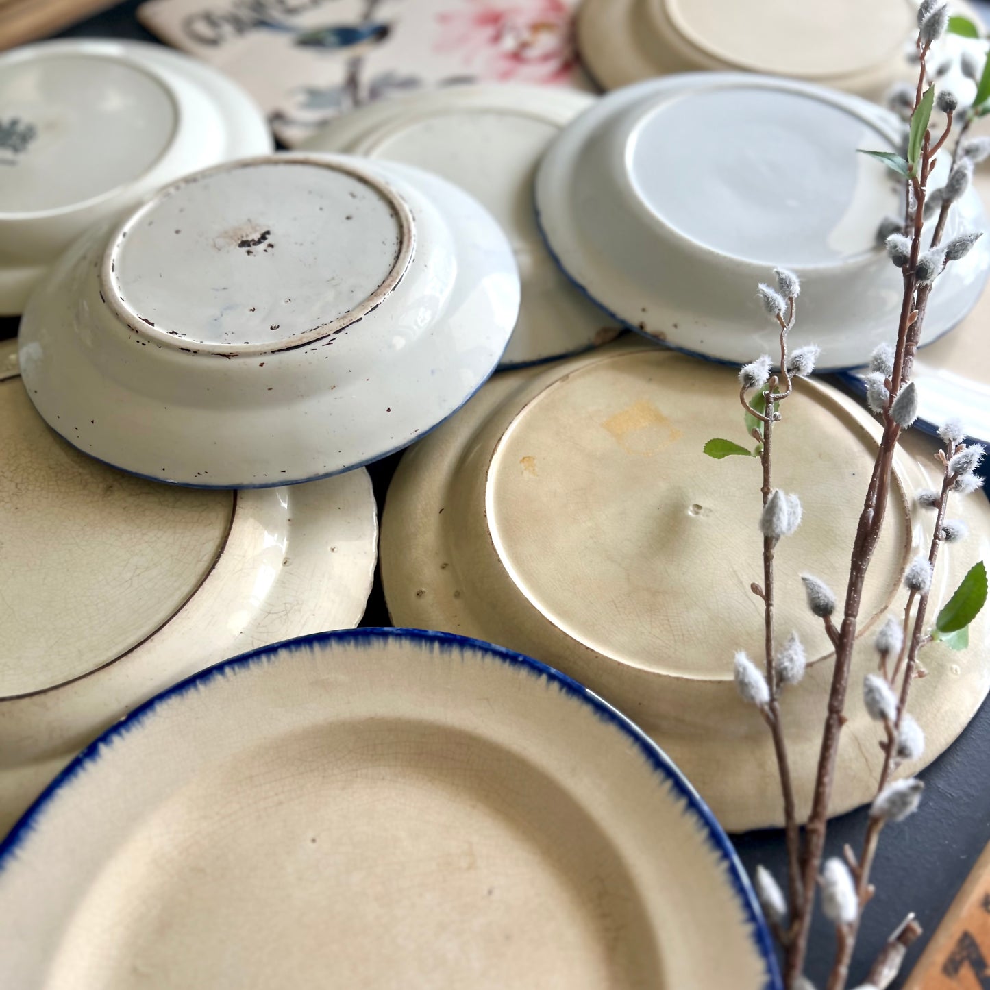 Antique 10-Piece Blue Feather Edge Plate Collection
