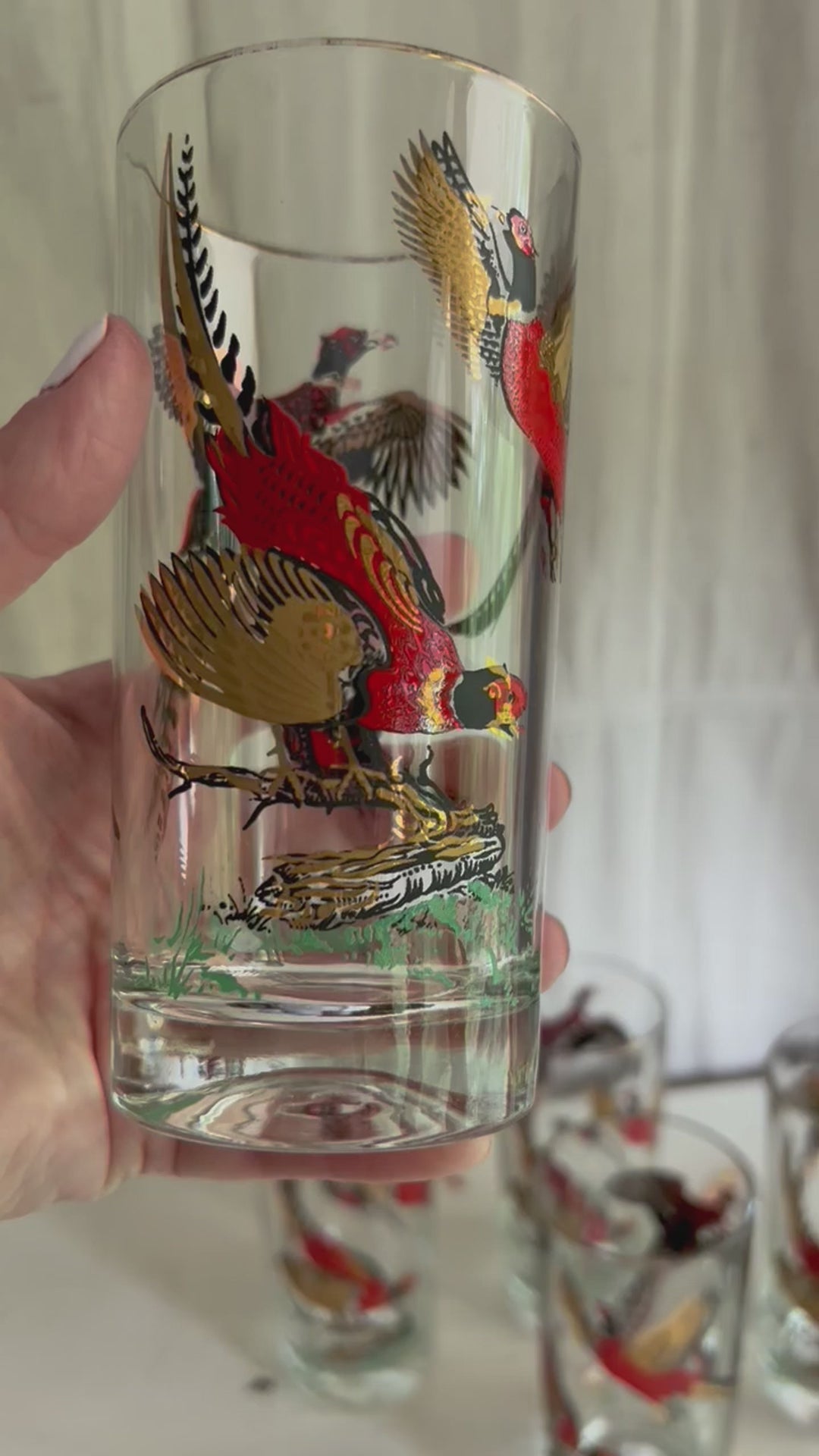 Mid Century Hazel Atlas Pheasant Tumblers (c.1960s) – Rush Creek