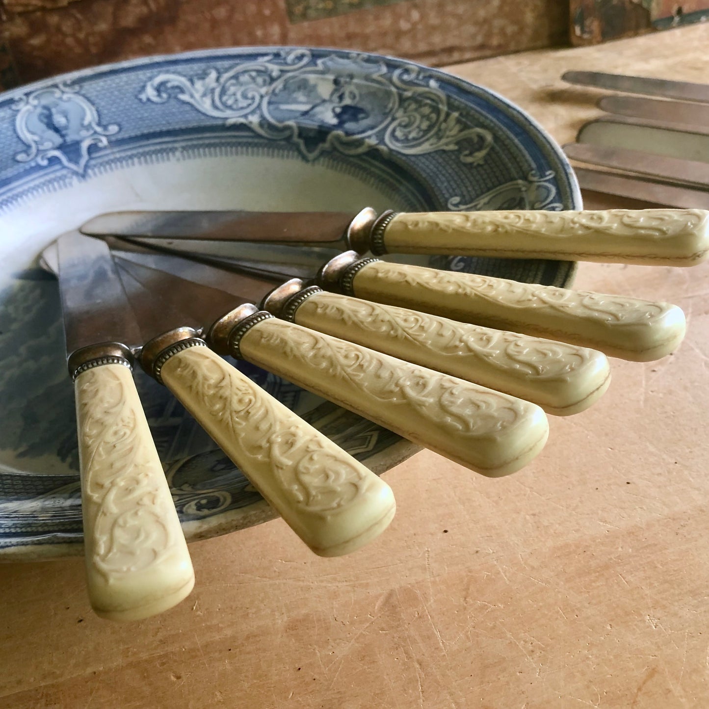 Vintage Celluloid Dinner Knives with Embossed Handles (c.1900s)