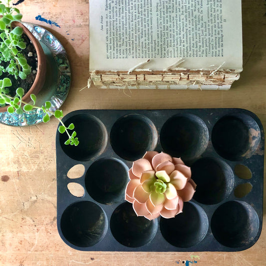Cast Iron Muffin Pan (c.1960s)