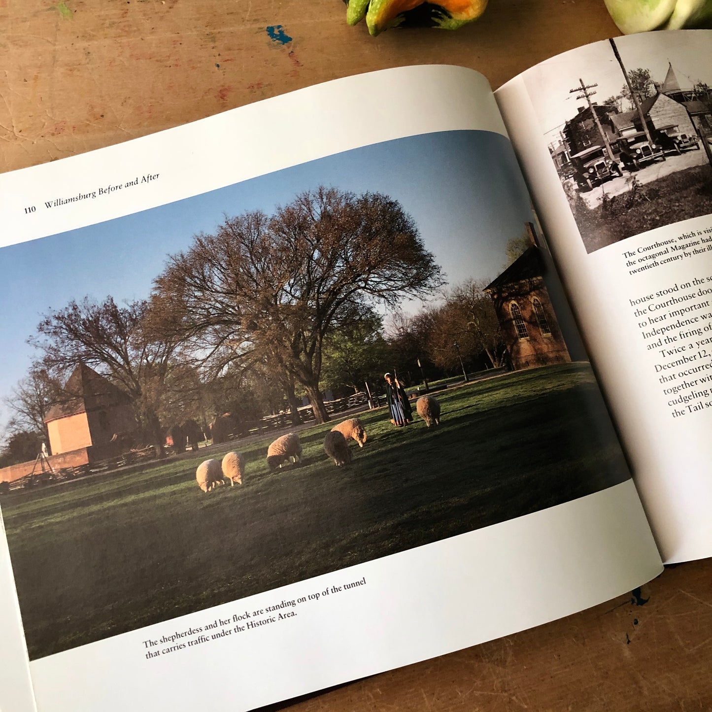 Williamsburg Before and After Vintage Book (1989)