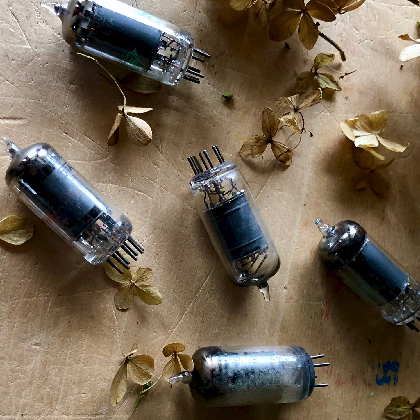 Vintage Industrial Vacuum Tubes, Set of 5