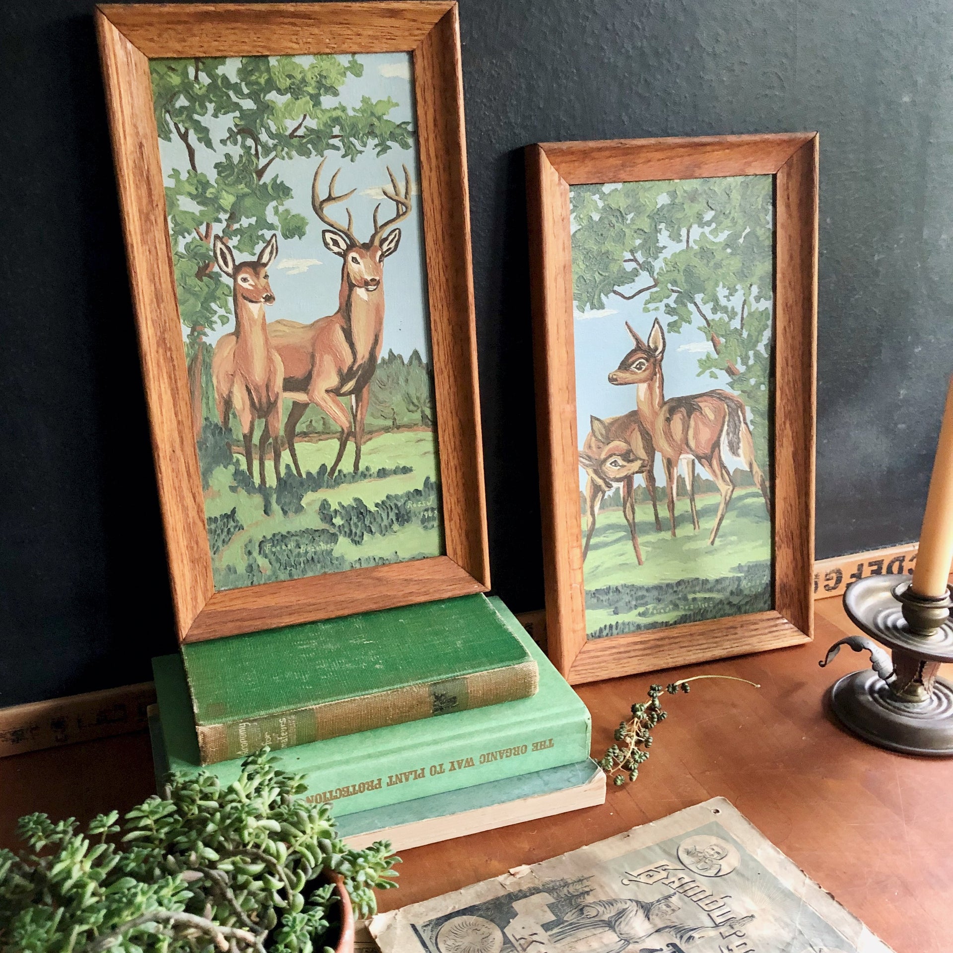 Vintage Paint By Number Picture 16 x 20 Family Of Deer on sale Wildlife Unpainted