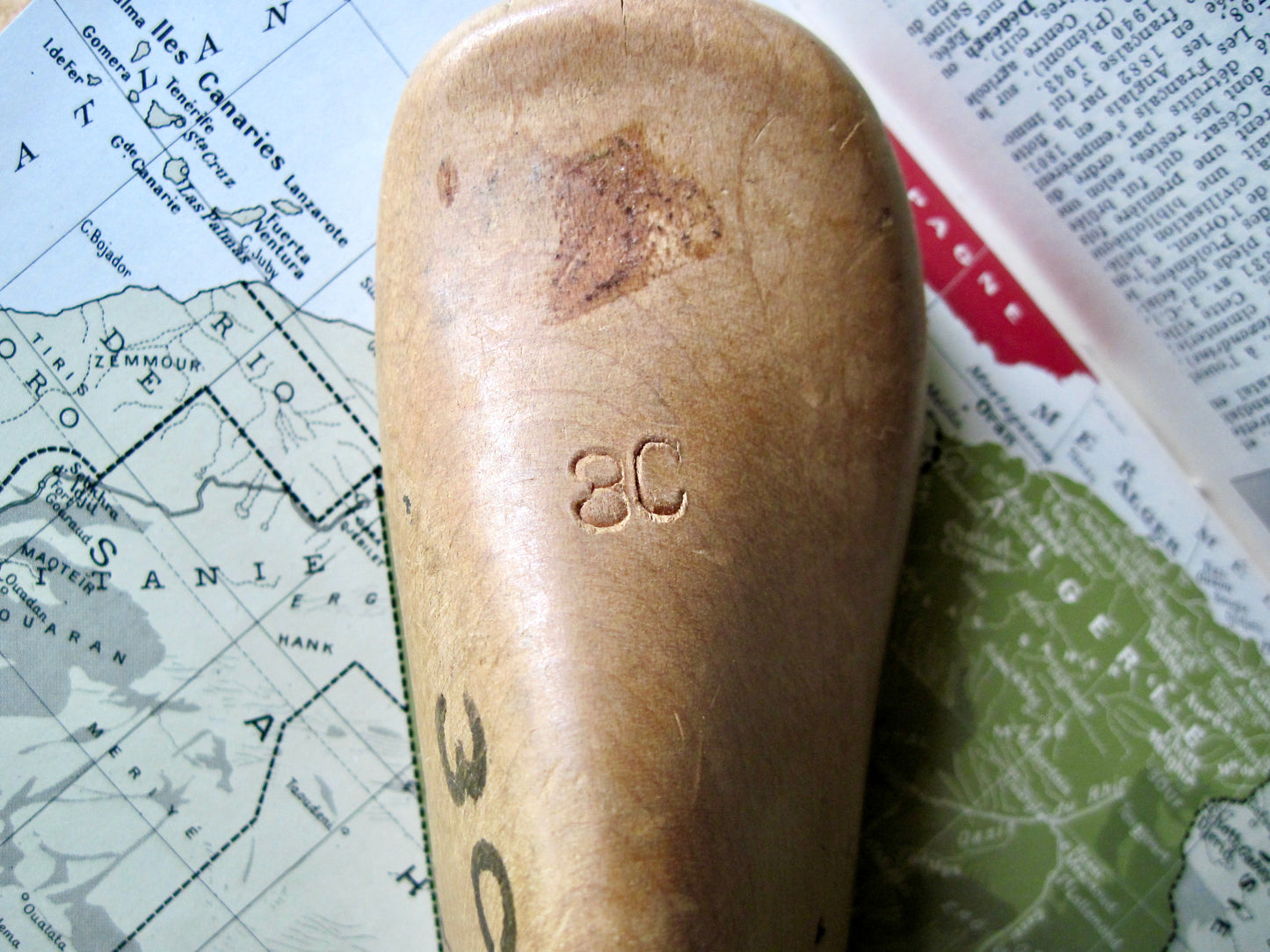 Cobbler's Antique Wooden Shoe Forms for Children (c.1800s)