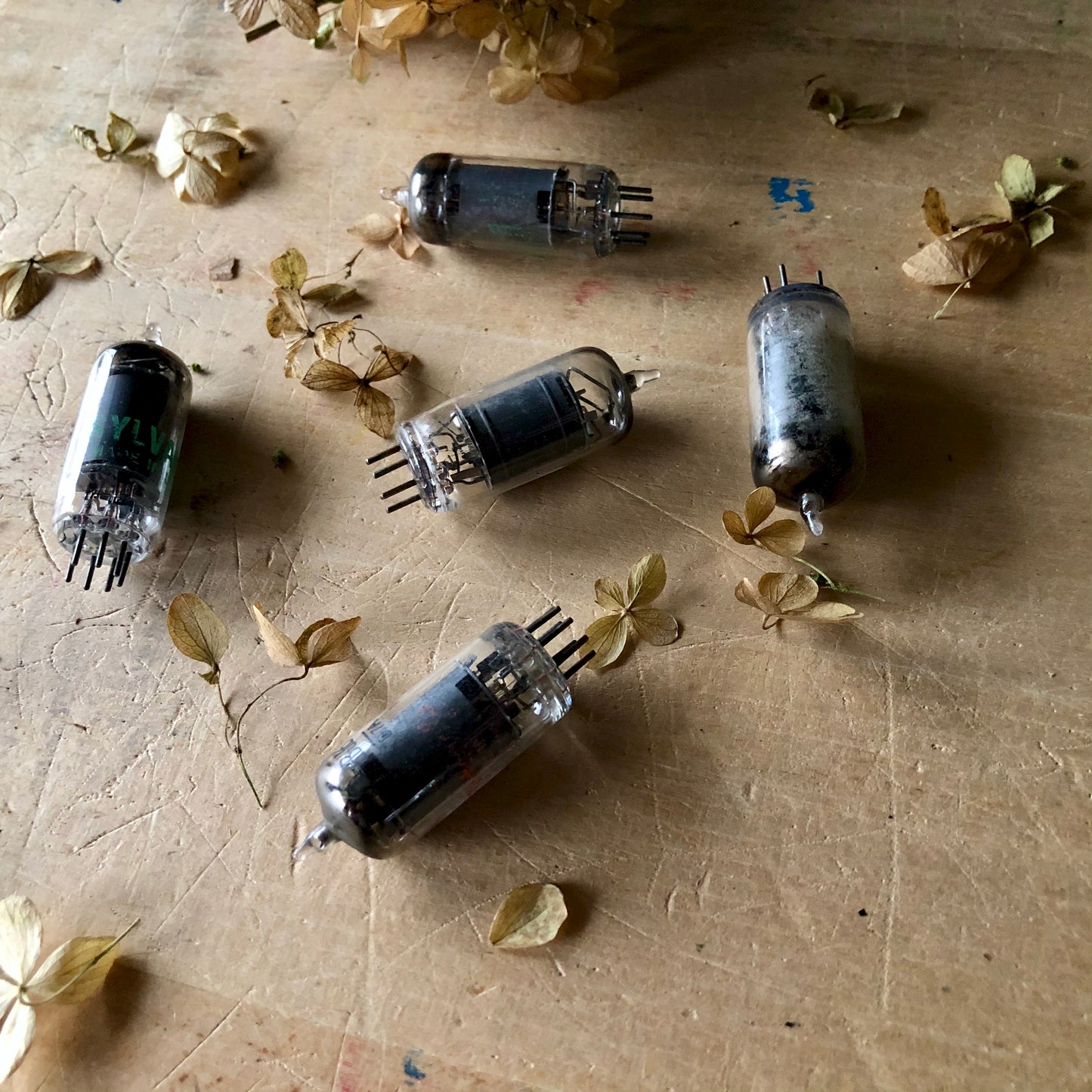 Vintage Industrial Vacuum Tubes, Set of 5