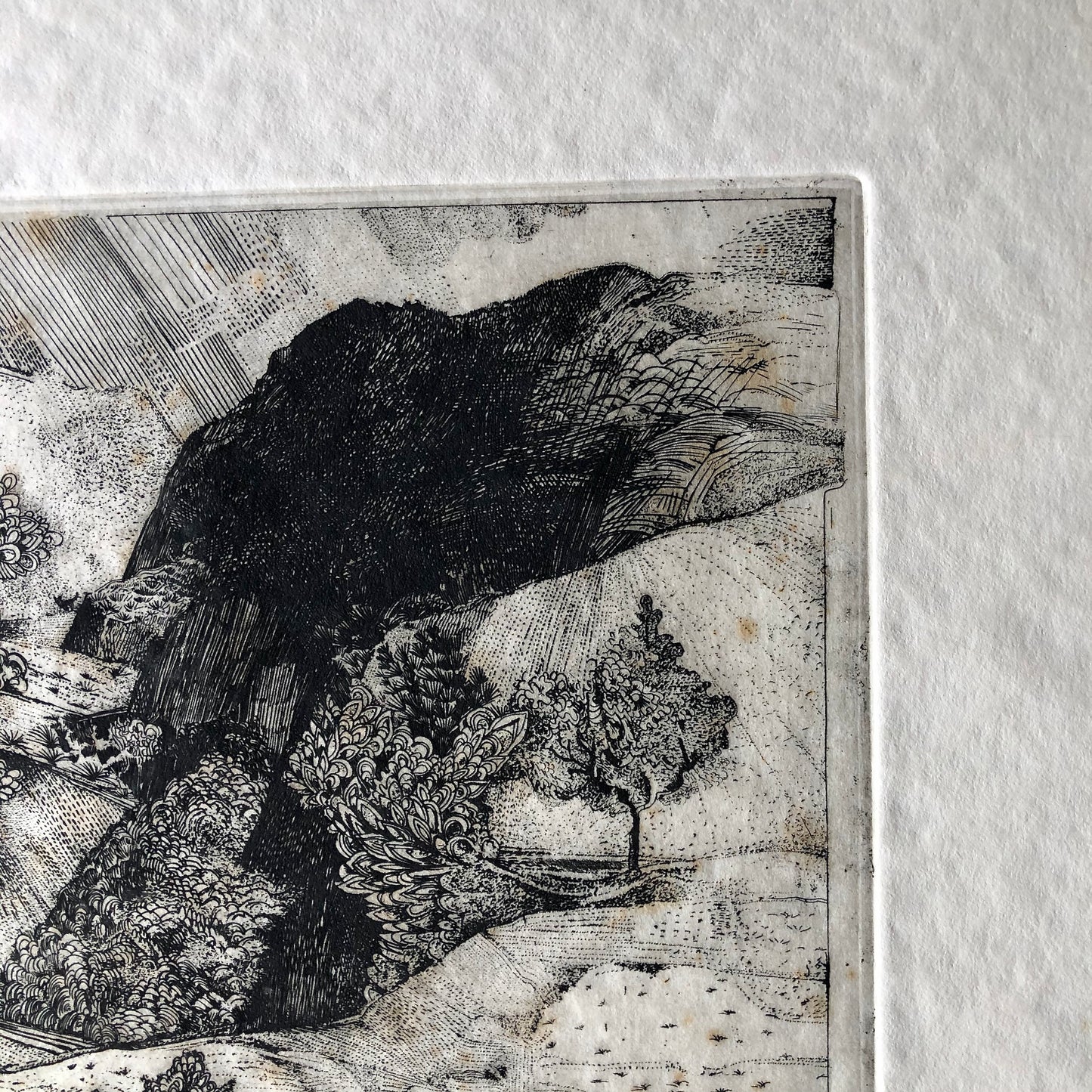 Vintage Art Etching 'Landscape with 5 Cats' by Claude Saucy (c.1900s)