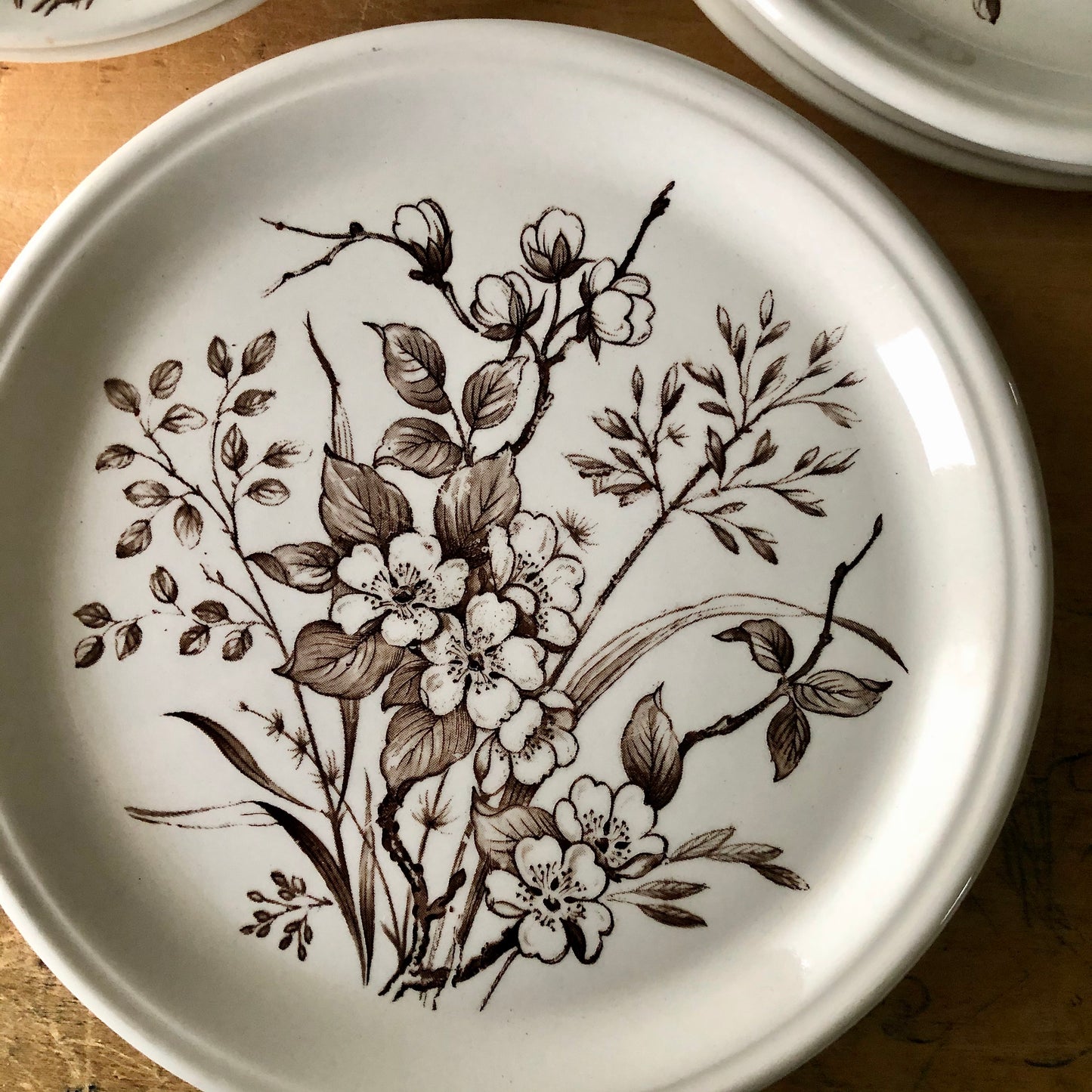 Vintage Brown and White English Floral Dishes (c.1960s)