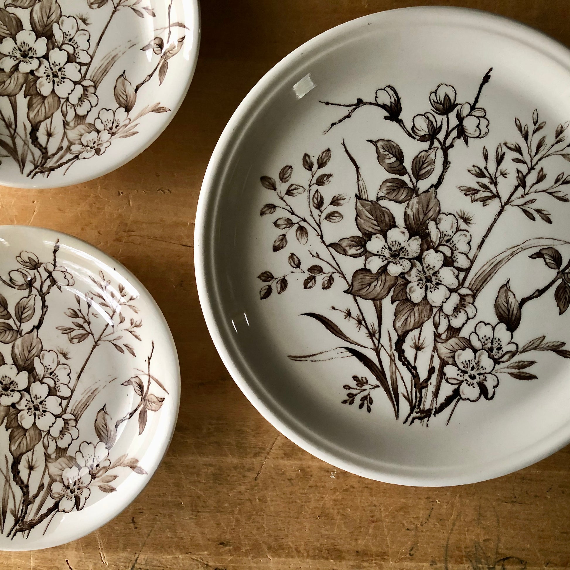 Vintage Brown and White English Floral Dishes (c.1960s) – Rush