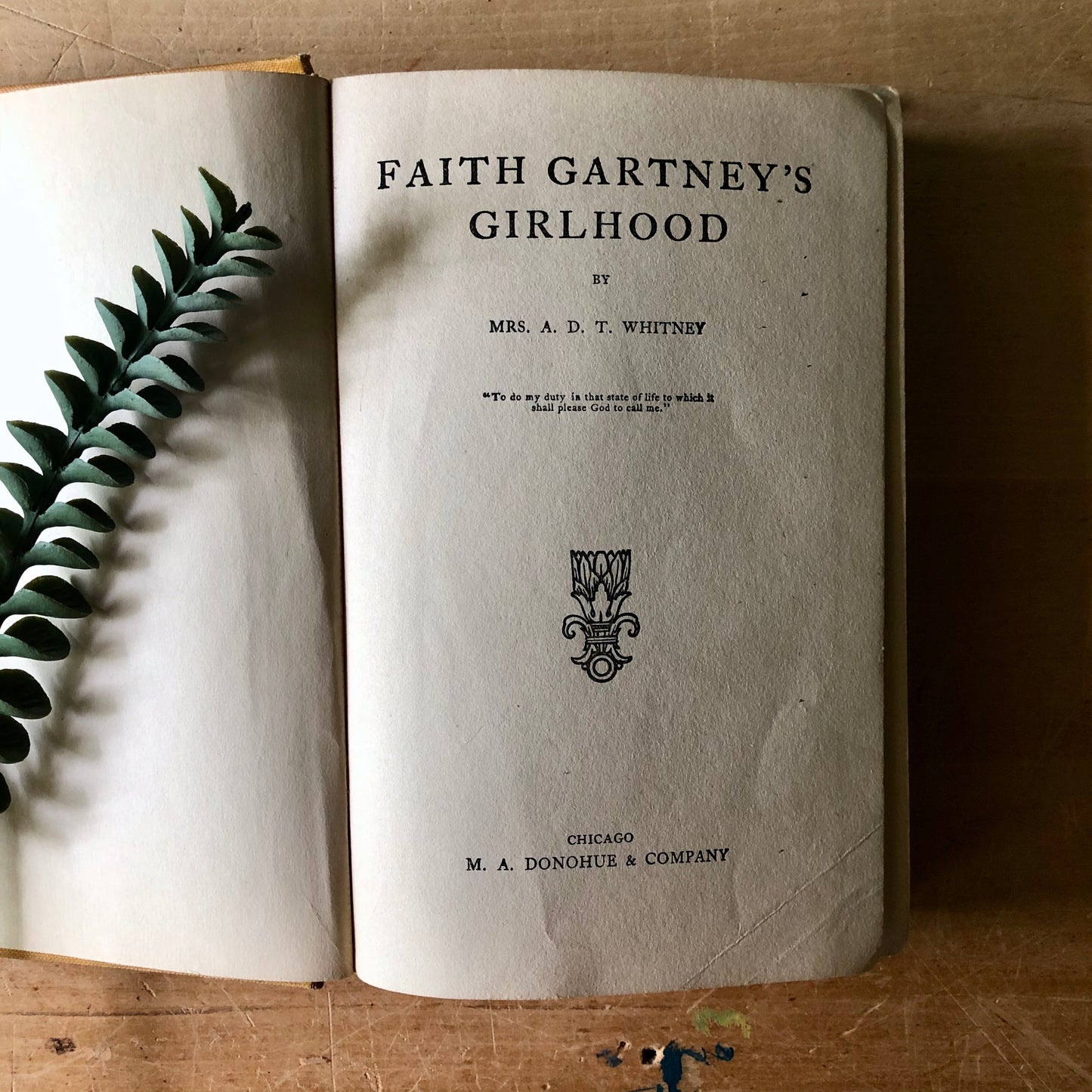 Antique Book Faith Gartney's Girlhood (1917)