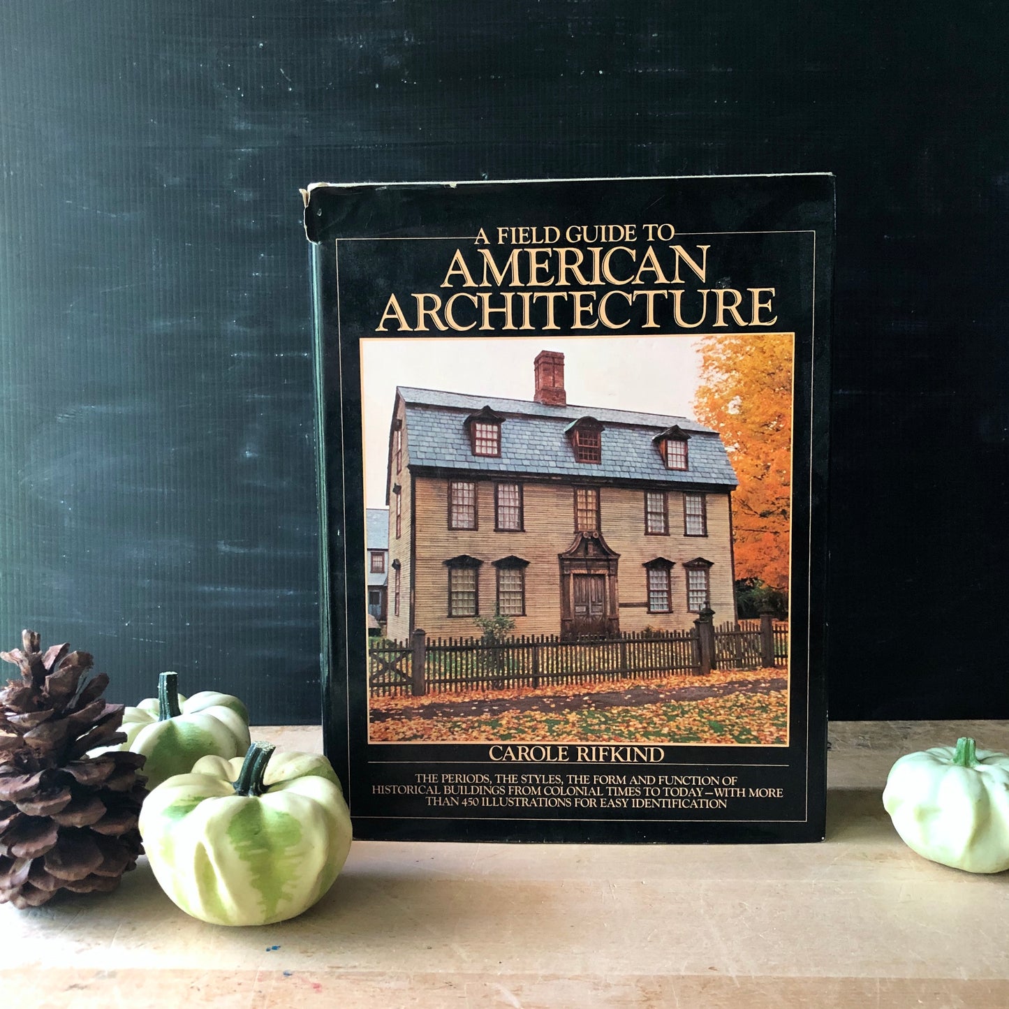 A Field Guide to American Architecture Book (1980)