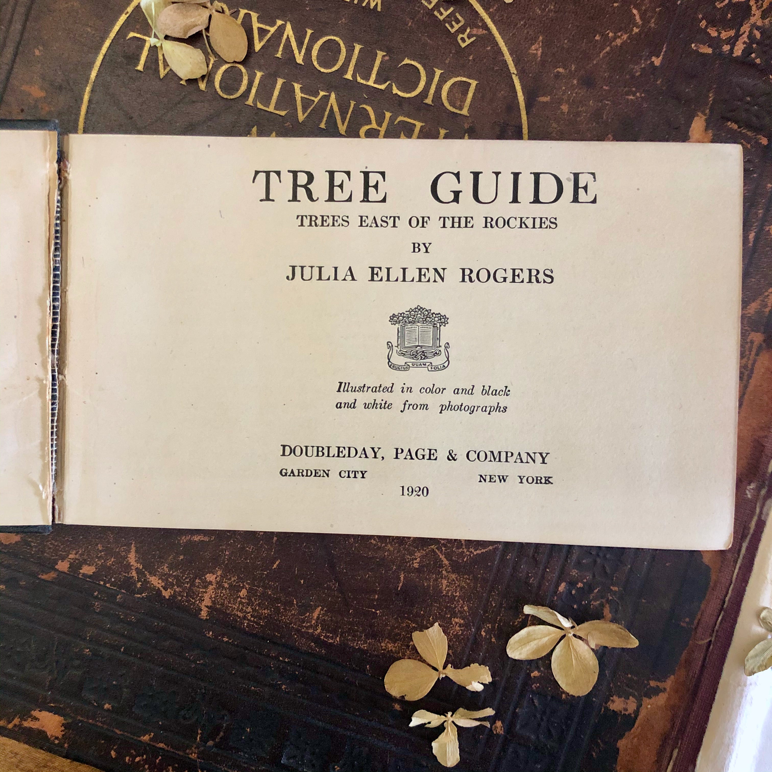 Tree Guide Magazine Tree Guide Antique Pocket Manual (1920) – Rush Creek Vintage