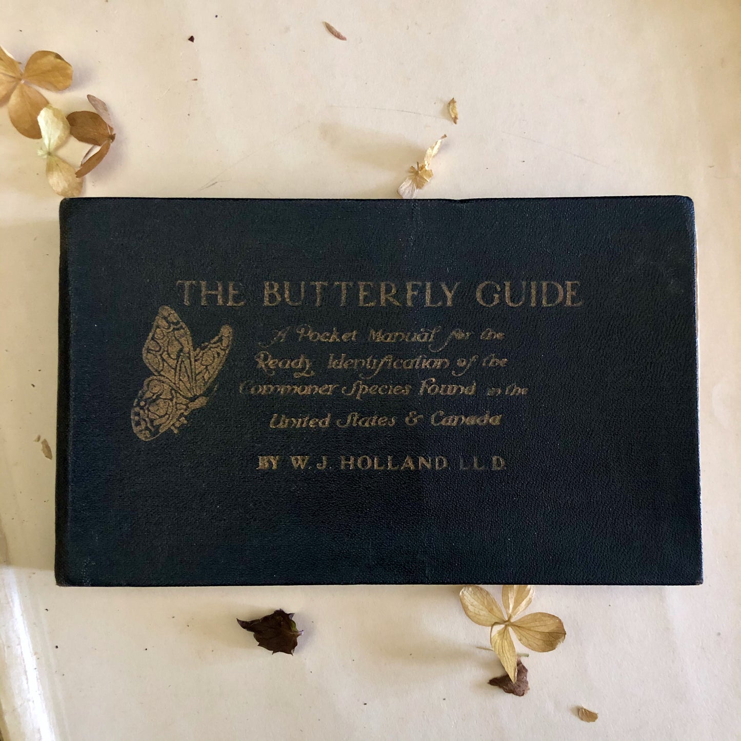 Butterfly Guide Antique Pocket Manual (1920)