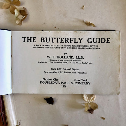 Butterfly Guide Antique Pocket Manual (1920)