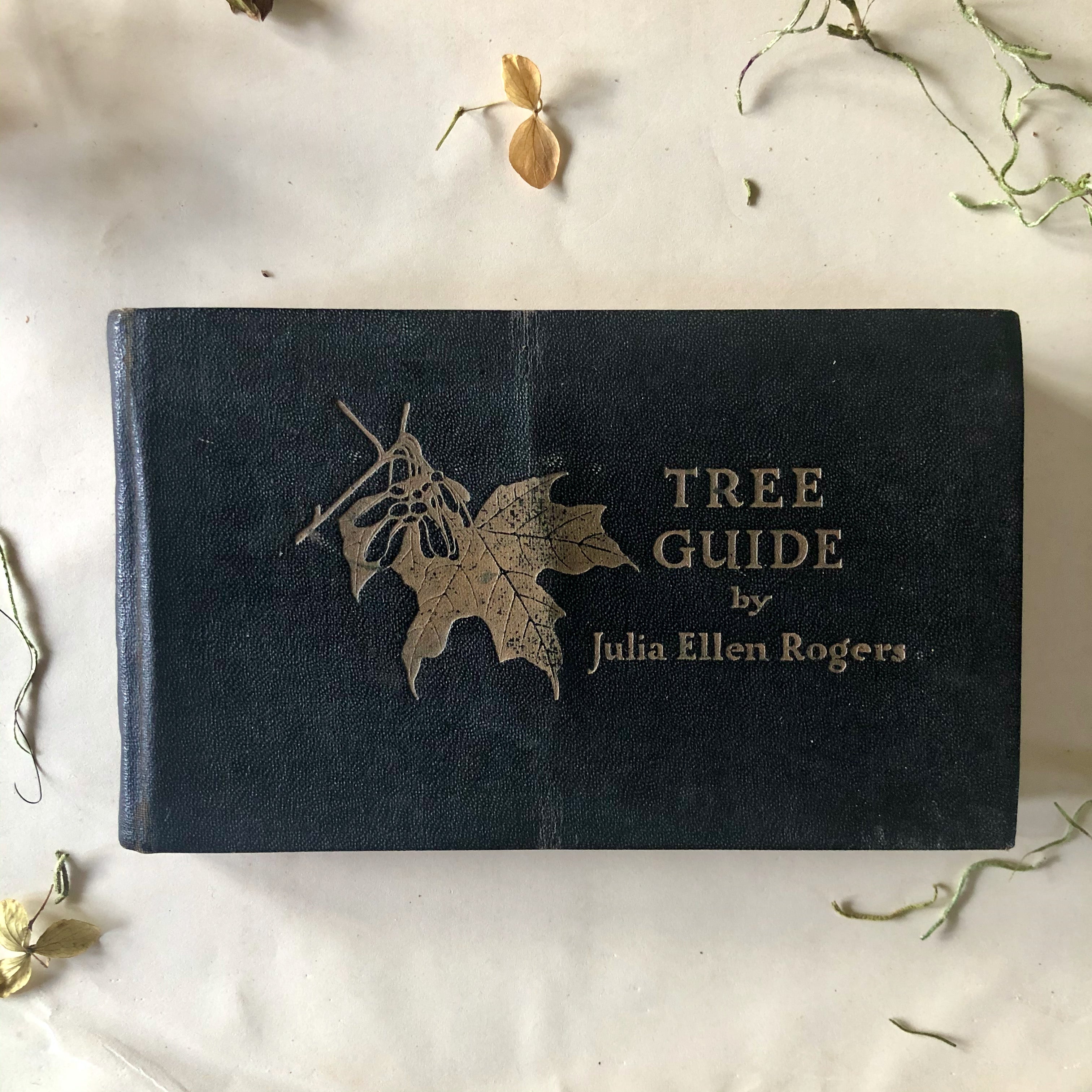 Tree Guide Magazine Tree Guide Antique Pocket Manual (1920) – Rush Creek Vintage