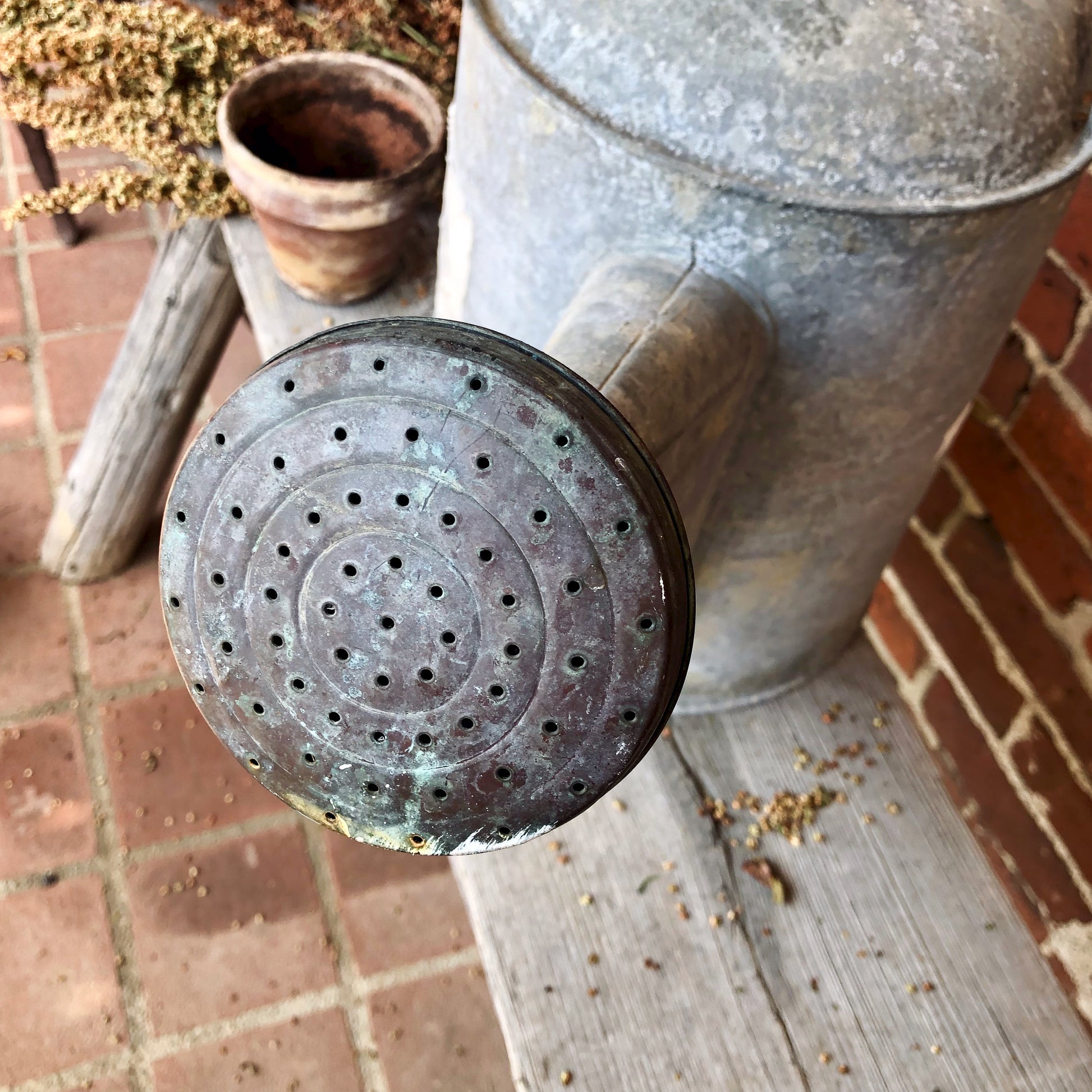 Large Galvanized Vintage Watering Can with Bail Handle (c.1900s)
