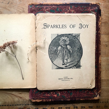 Illustrated Victorian Nursery Book, Sparkles of Joy (1896)